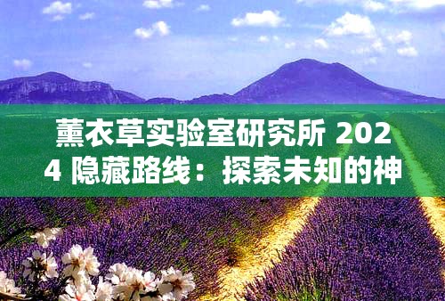 薰衣草实验室研究所 2024 隐藏路线：探索未知的神秘之旅