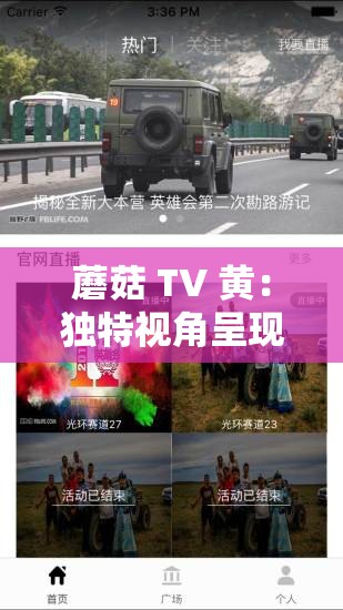 蘑菇 TV 黄：独特视角呈现精彩内容