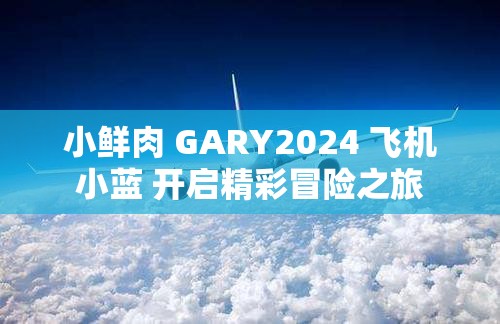 小鲜肉 GARY2024 飞机小蓝 开启精彩冒险之旅