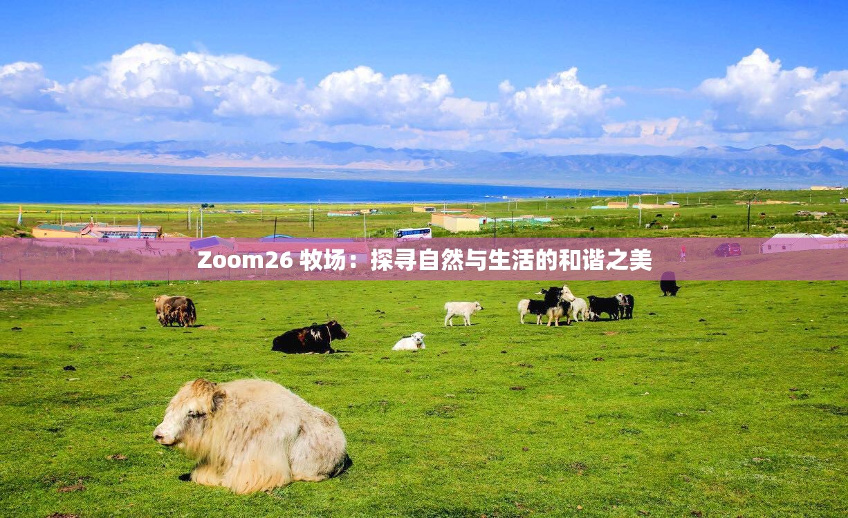 Zoom26 牧场：探寻自然与生活的和谐之美