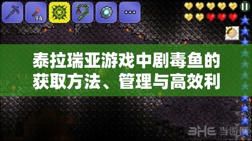 泰拉瑞亚游戏中剧毒鱼的获取方法、管理与高效利用以最大化其价值