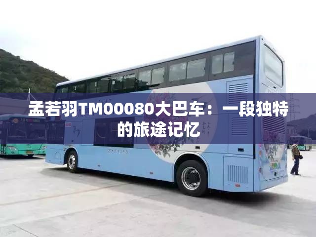 孟若羽TM00080大巴车：一段独特的旅途记忆