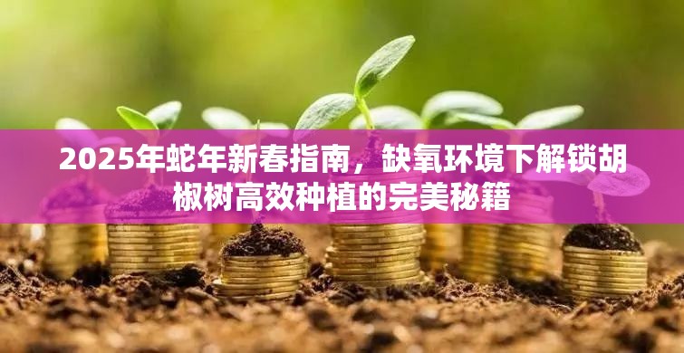 2025年蛇年新春指南，缺氧环境下解锁胡椒树高效种植的完美秘籍