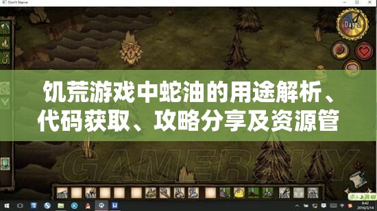 饥荒游戏中蛇油的用途解析、代码获取、攻略分享及资源管理技巧