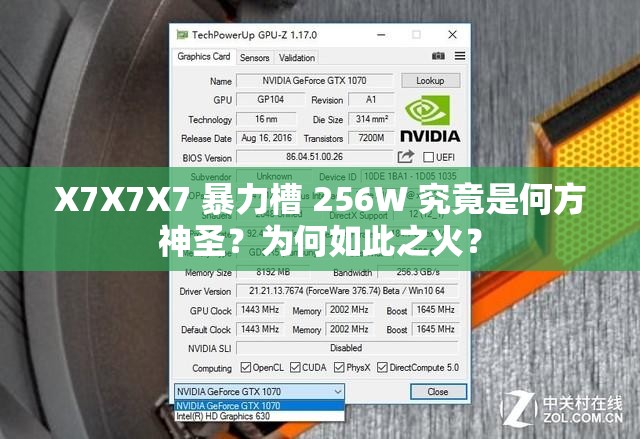 X7X7X7 暴力槽 256W 究竟是何方神圣？为何如此之火？