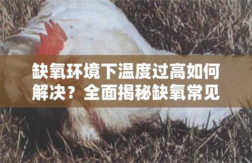 缺氧环境下温度过高如何解决？全面揭秘缺氧常见高效降温方法与技巧