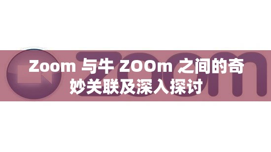 Zoom 与牛 ZOOm 之间的奇妙关联及深入探讨