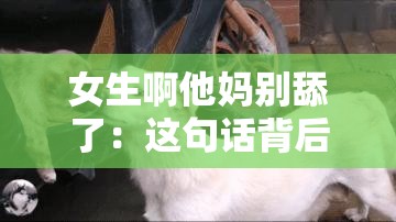 女生啊他妈别舔了：这句话背后的深意究竟是什么