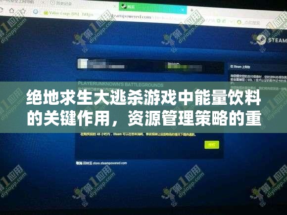 绝地求生大逃杀游戏中能量饮料的关键作用，资源管理策略的重要一环