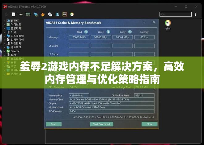 羞辱2游戏内存不足解决方案，高效内存管理与优化策略指南