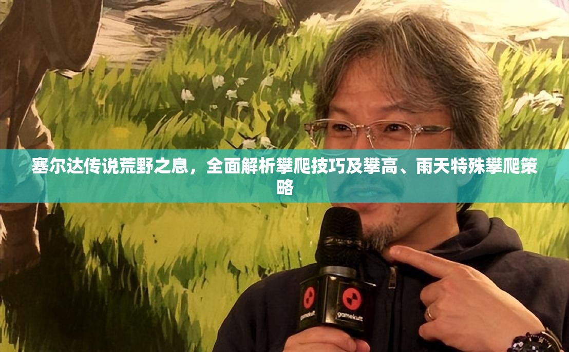 塞尔达传说荒野之息，全面解析攀爬技巧及攀高、雨天特殊攀爬策略
