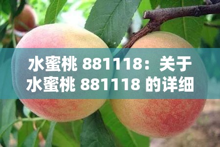 水蜜桃 881118：关于水蜜桃 881118 的详细介绍与分析