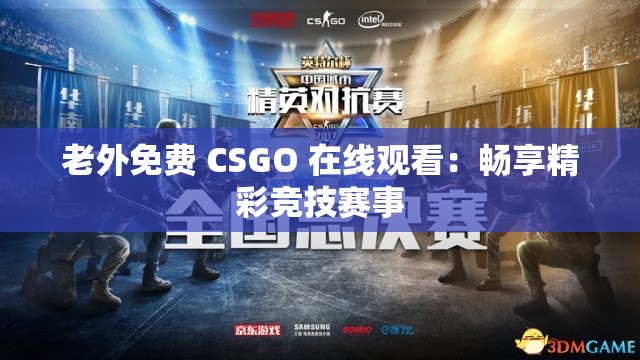 老外免费 CSGO 在线观看：畅享精彩竞技赛事