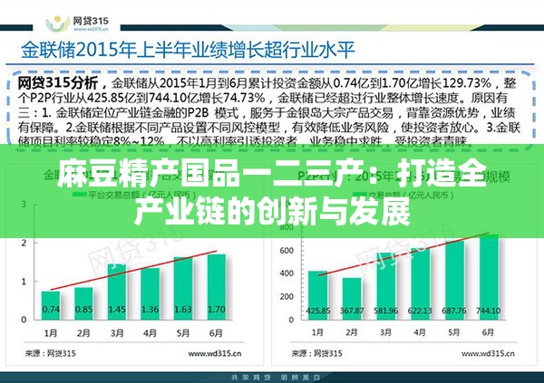 麻豆精产国品一二三产：打造全产业链的创新与发展