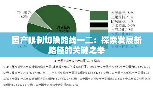 国产限制切换路线一二：探索发展新路径的关键之举