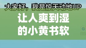 让人爽到湿的小黄书软件下载：成人必备，释放你的激情