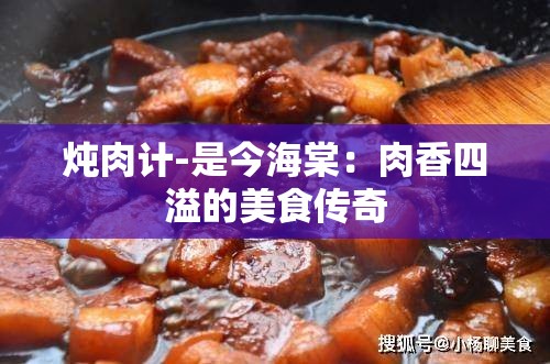 炖肉计-是今海棠：肉香四溢的美食传奇