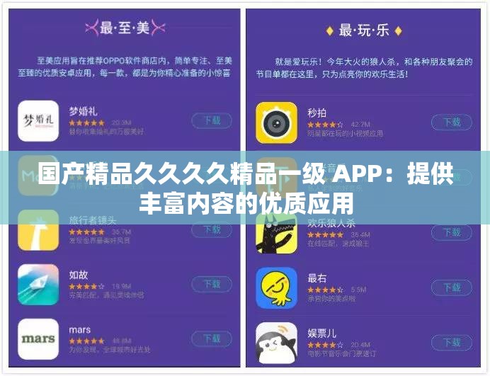 国产精品久久久久精品一级 APP：提供丰富内容的优质应用