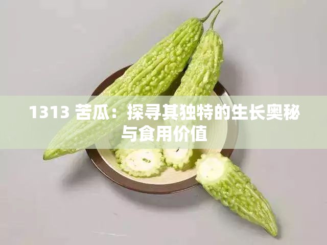 1313 苦瓜：探寻其独特的生长奥秘与食用价值