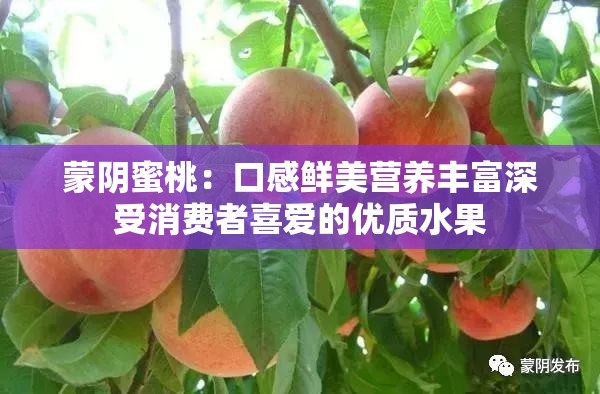 蒙阴蜜桃：口感鲜美营养丰富深受消费者喜爱的优质水果