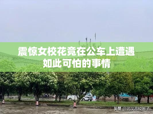 震惊女校花竟在公车上遭遇如此可怕的事情