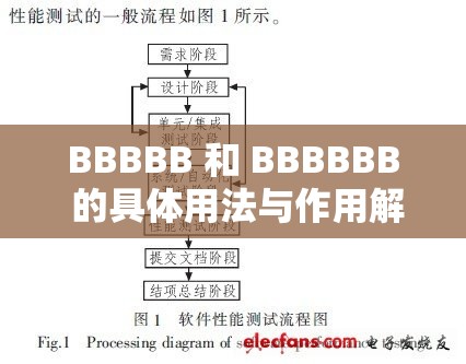 BBBBB 和 BBBBBB 的具体用法与作用解析