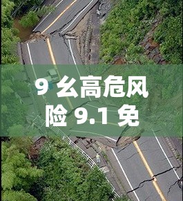 9 幺高危风险 9.1 免费安装：带来安全与便利的全新体验