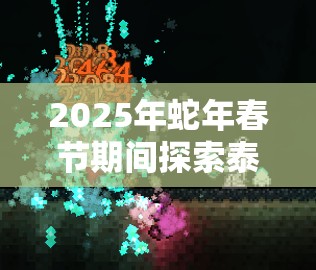 2025年蛇年春节期间探索泰拉瑞亚，巫师徽章解锁法师终极力量