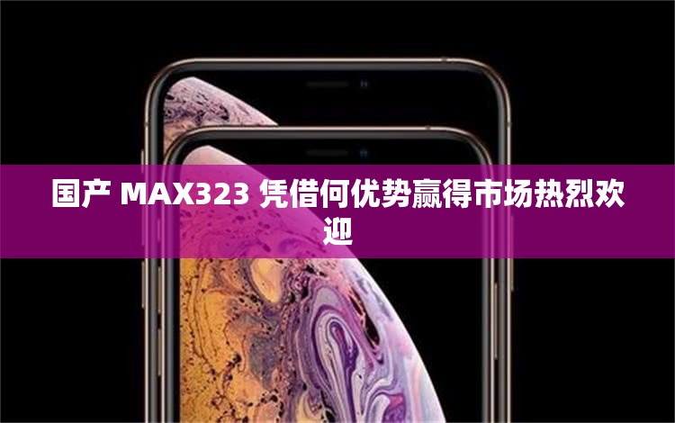 国产 MAX323 凭借何优势赢得市场热烈欢迎