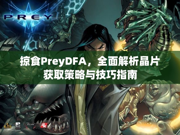 掠食PreyDFA，全面解析晶片获取策略与技巧指南