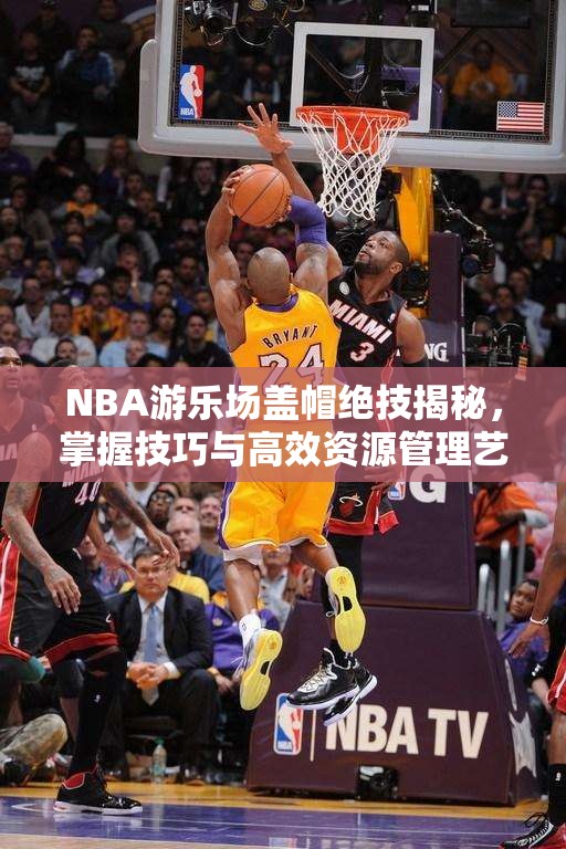 NBA游乐场盖帽绝技揭秘，掌握技巧与高效资源管理艺术