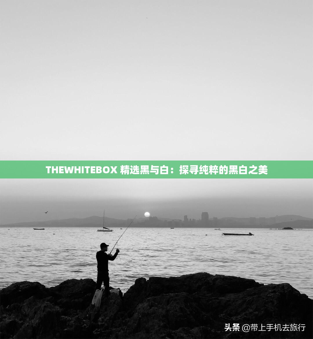 THEWHITEBOX 精选黑与白：探寻纯粹的黑白之美