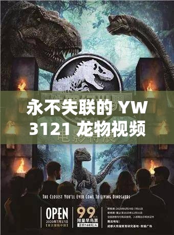 永不失联的 YW3121 龙物视频，探索未知世界的奇妙之旅