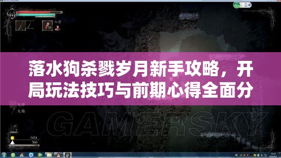 落水狗杀戮岁月新手攻略，开局玩法技巧与前期心得全面分享