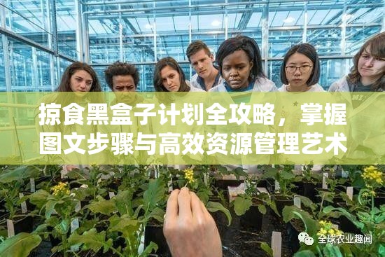 掠食黑盒子计划全攻略，掌握图文步骤与高效资源管理艺术