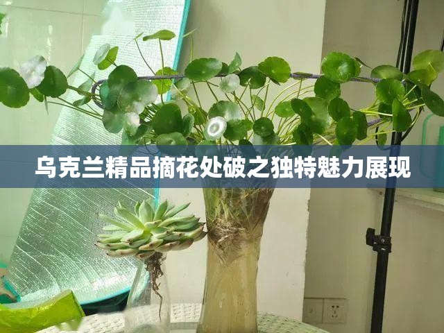 乌克兰精品摘花处破之独特魅力展现