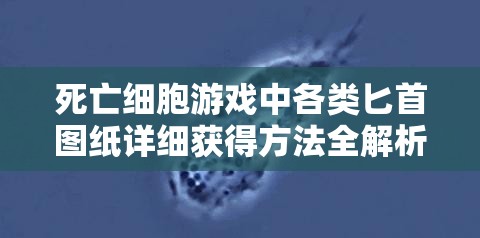 死亡细胞游戏中各类匕首图纸详细获得方法全解析