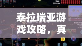 泰拉瑞亚游戏攻略，真永夜之刃合成秘籍及详细属性全面揭秘