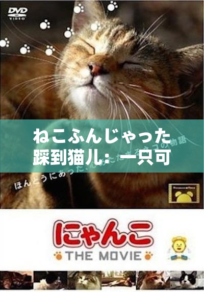 ねこふんじゃった踩到猫儿：一只可爱猫咪引发的故事