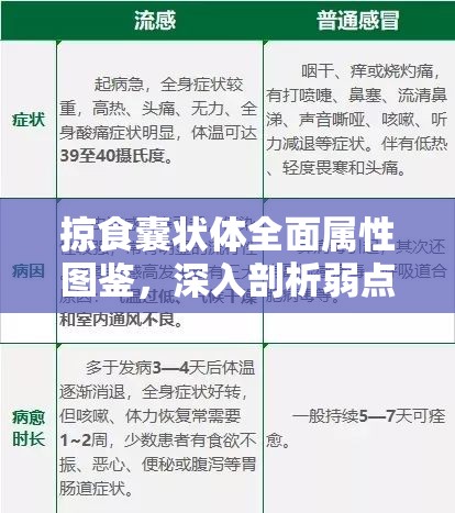 掠食囊状体全面属性图鉴，深入剖析弱点与无效能力解析