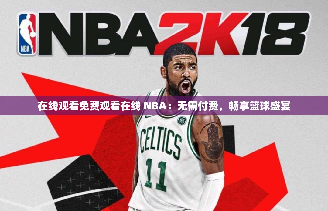 在线观看免费观看在线 NBA：无需付费，畅享篮球盛宴