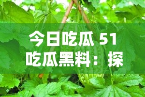 今日吃瓜 51 吃瓜黑料：探寻背后不为人知的秘密