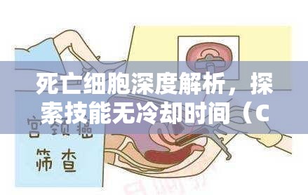 死亡细胞深度解析，探索技能无冷却时间（CD）与无限技能使用的BUG机制