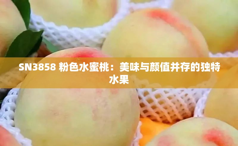 SN3858 粉色水蜜桃：美味与颜值并存的独特水果