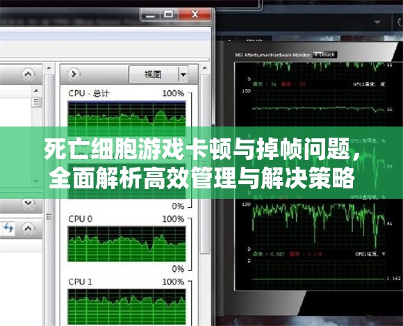 死亡细胞游戏卡顿与掉帧问题，全面解析高效管理与解决策略