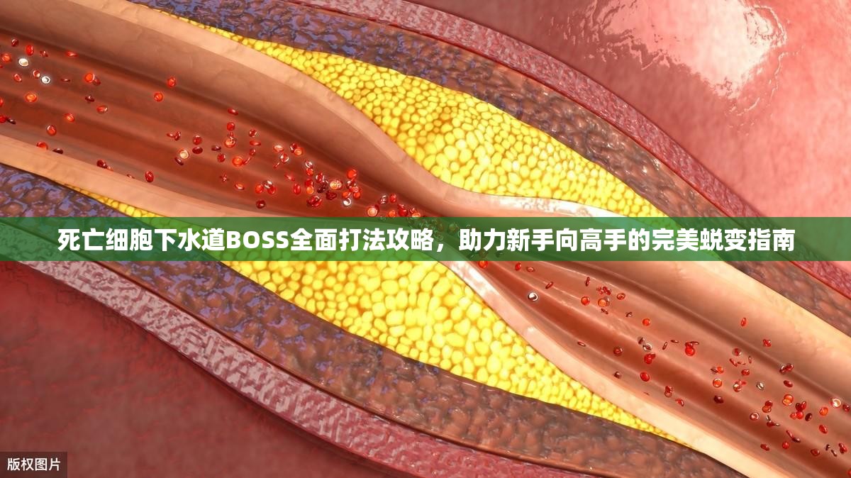 死亡细胞下水道BOSS全面打法攻略，助力新手向高手的完美蜕变指南