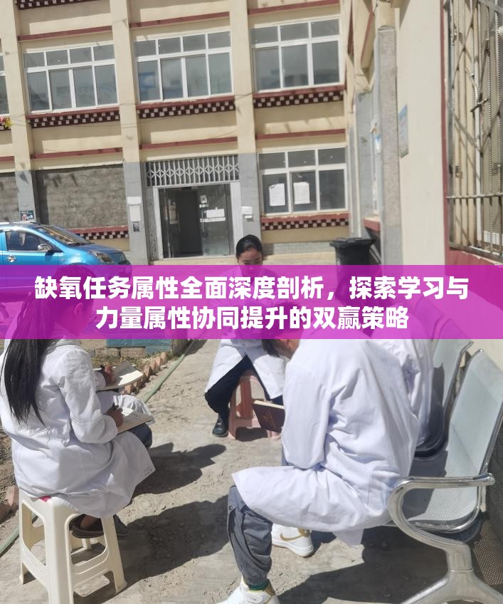 缺氧任务属性全面深度剖析，探索学习与力量属性协同提升的双赢策略