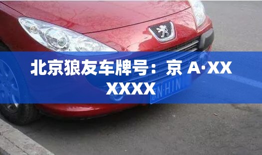 北京狼友车牌号：京 A·XXXXXX