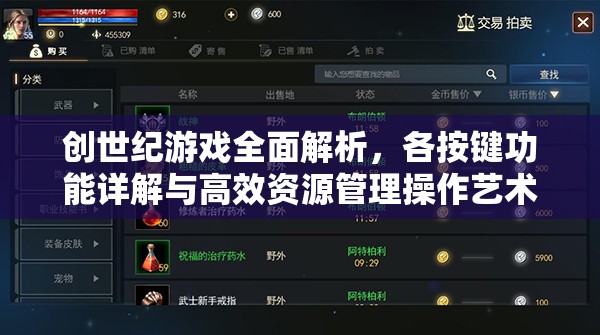 创世纪游戏全面解析，各按键功能详解与高效资源管理操作艺术