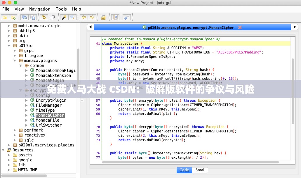 免费人马大战 CSDN：破解版软件的争议与风险